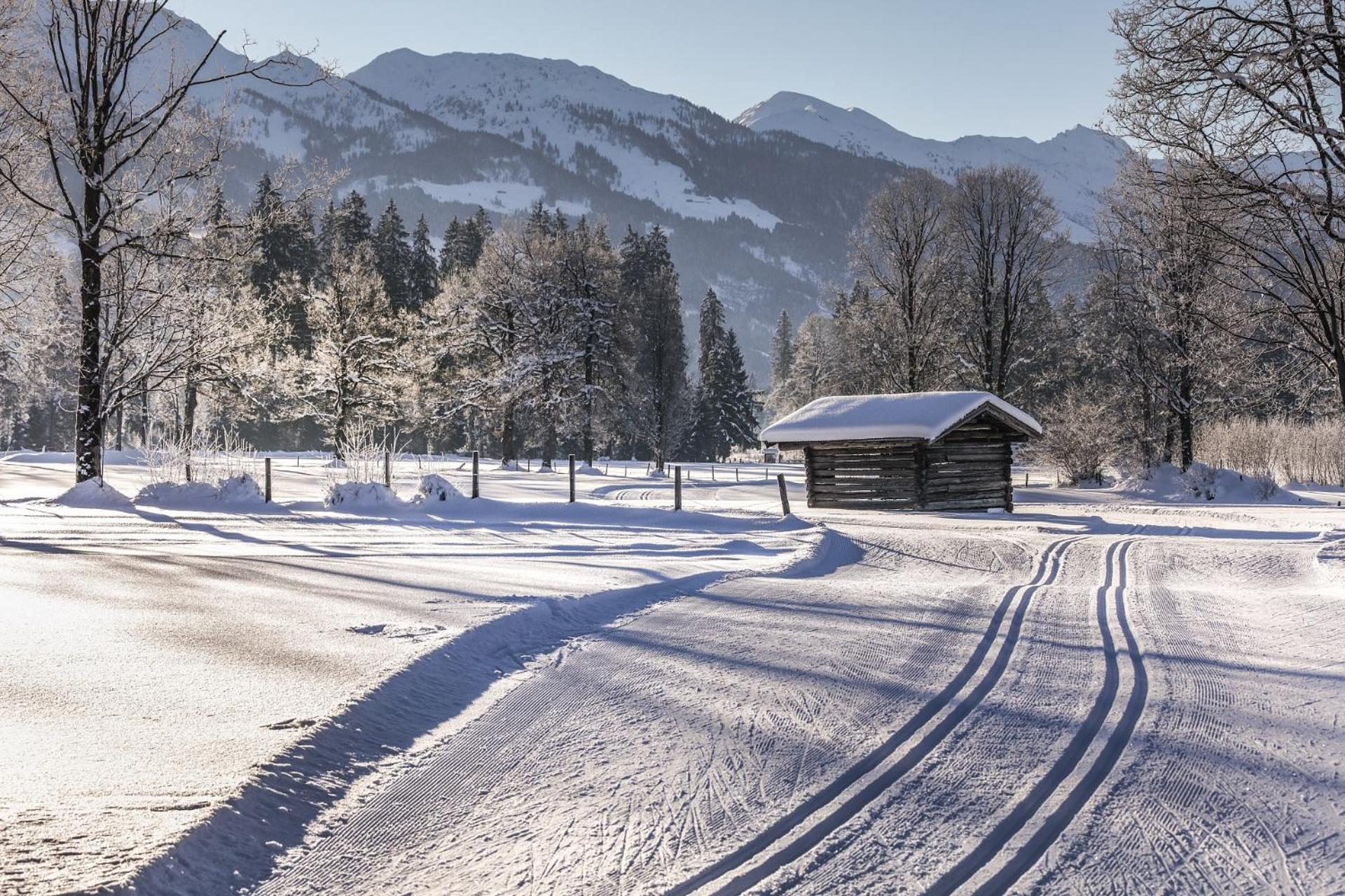 Pension Wolfsegg Kirchberg en Tyrol Extérieur photo